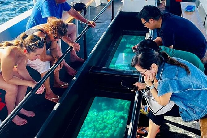 2 Stop Reef Snorkel and Glass Bottom Boat Adventure - Coral reefs bring the color and movement