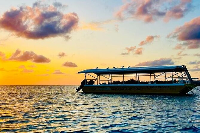 2 Stop Reef Snorkel and Glass Bottom Boat Adventure - What the one-hour format means for your day