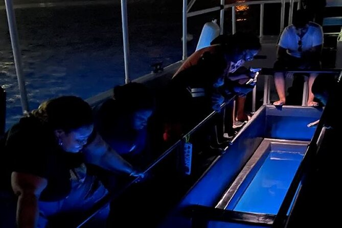 2 Stop Reef Snorkel and Glass Bottom Boat Adventure - Fitness, equipment, and comfort