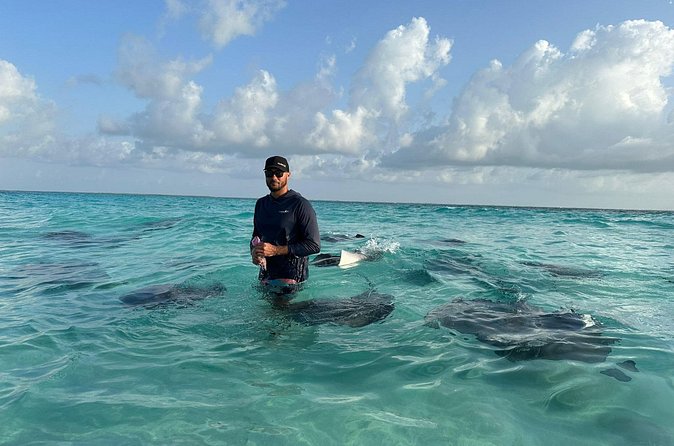3 Hour Jet ski Adventure Swim with Rays and More - Rum Point: a short taste of the North Shore