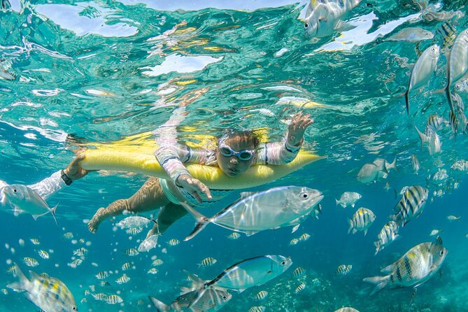 3 Hour Private Charter on Stingray City with Snorkeling - Boarding at the Cayman Islands Yacht Club