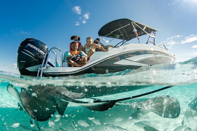 3 Hour Private Charter on Stingray City with Snorkeling - What the $750 price means for your group