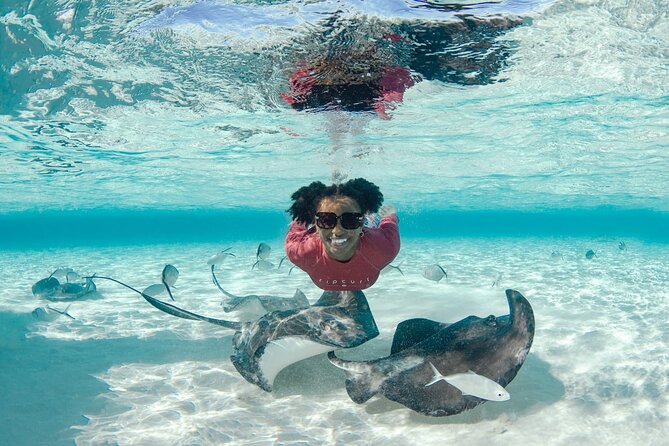3 Hour Private Charter on Stingray City with Snorkeling - Who will enjoy this charter most