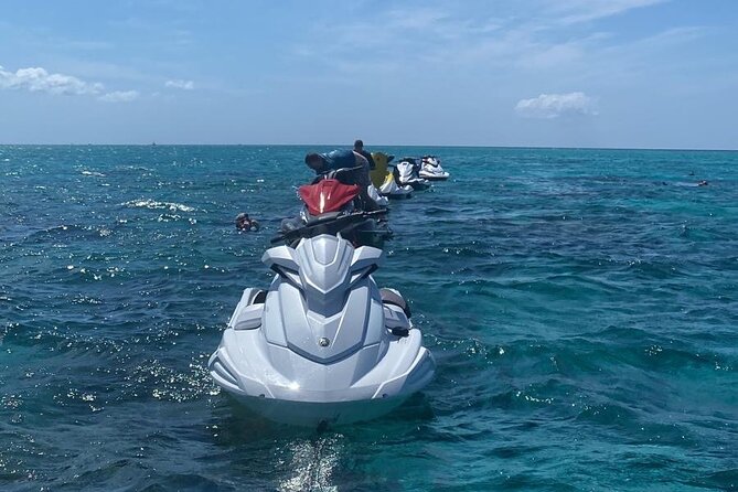 3HR Full Island Life Jetski Tour - Meeting the stingrays at Stingray City
