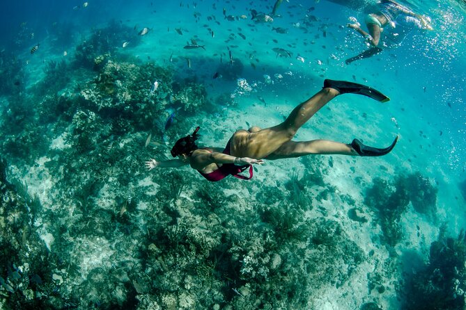 4 hour Private Boat charter to Stingray City, Snorkeling and More - Optional extras beyond the main route