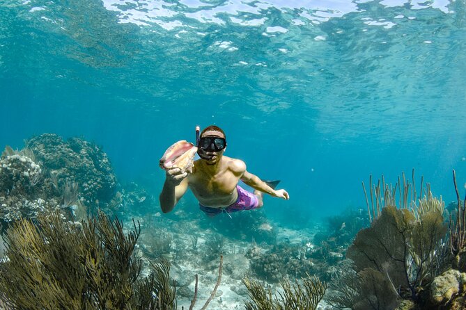4 hour Private Boat charter to Stingray City, Snorkeling and More - Who will enjoy this charter most