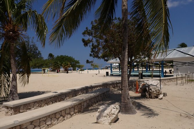 4-Stop Stingray, Snorkel, Star Fish & 7 Mile Beach (Family Owned) - Price and overall value at $85