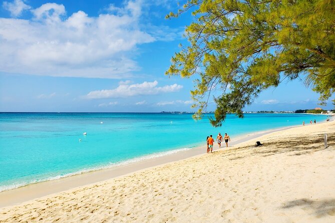 4 Stops Tour: Stingray, Snorkeling, Starfish & 7 Mile Beach - Starfish Point is a quieter 35-minute stop