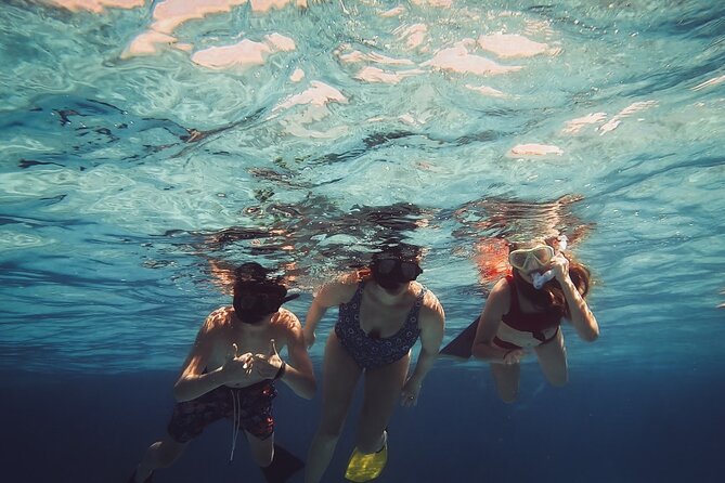 Acquarius Stingray City and Snorkel Tours - A three-stop morning on Grand Cayman’s water