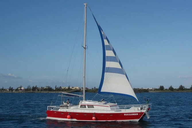 Acquarius Stingray City and Snorkel Tours - Stingray City: the main reason to book