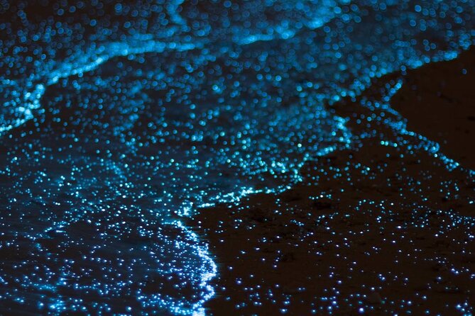 Bioluminescent Bay Adventure in Grand Cayman - Key points before you book