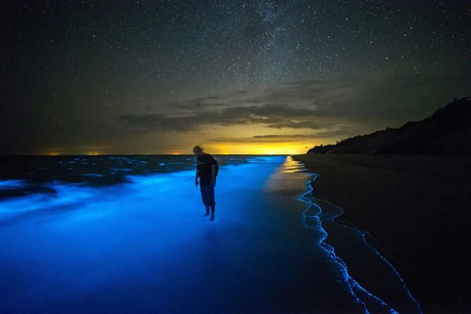 Bioluminescent Bay Adventure in Grand Cayman - What the Grand Cayman glow is really like