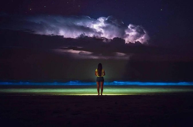 Bioluminescent Bay Adventure in Grand Cayman - Who will enjoy this Cayman evening
