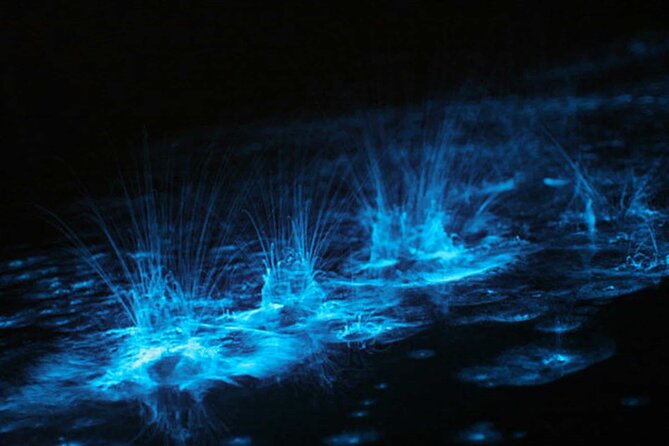 Bioluminescent Bay Adventure in Grand Cayman - Entering Cayman Kai after dark