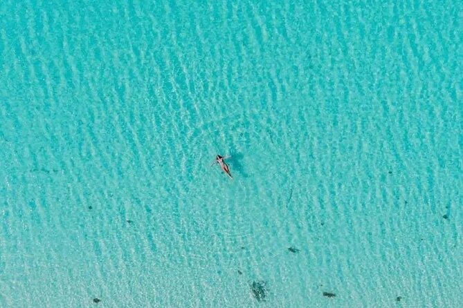 Cayman Adventure: Starfish Point, Stingray City and Coral Gardens - Starfish Point and the quietest stop