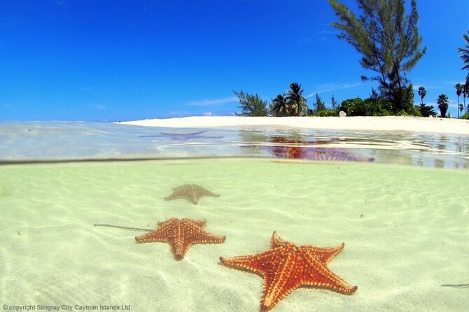 Cayman Adventure: Starfish Point, Stingray City and Coral Gardens - The boat, crew, and group size