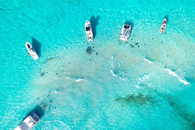 Cayman Adventure: Starfish Point, Stingray City and Coral Gardens - Cruise-port pickup requires exact planning