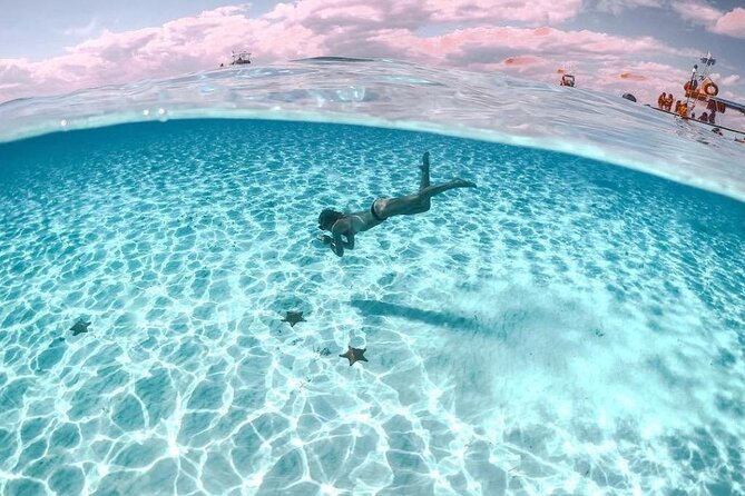 Cayman Adventure: Starfish Point, Stingray City and Coral Gardens - How the value compares with the effort