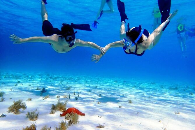 Cayman Adventure: Starfish Point, Stingray City and Coral Gardens - Sun, water, and what to pack