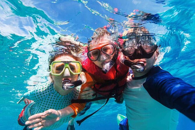 Cayman Adventure: Starfish Point, Stingray City and Coral Gardens - Coral Gardens: bring your mask and look down