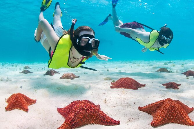 Cayman Combo Tour: Stingrays, Starfish Point and Crystal Caves - Starfish Point is calm, but timing matters