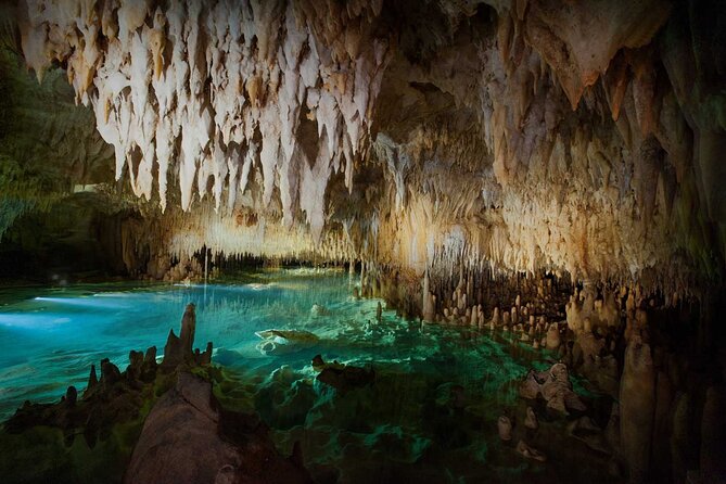 Cayman Combo Tour: Stingrays, Starfish Point and Crystal Caves - Small planning tips that make the day easier