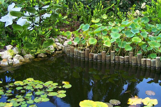 Cayman Crystal Caves & Pedro St James Castle or Botanical Garden - Smart Preparation Before You Leave