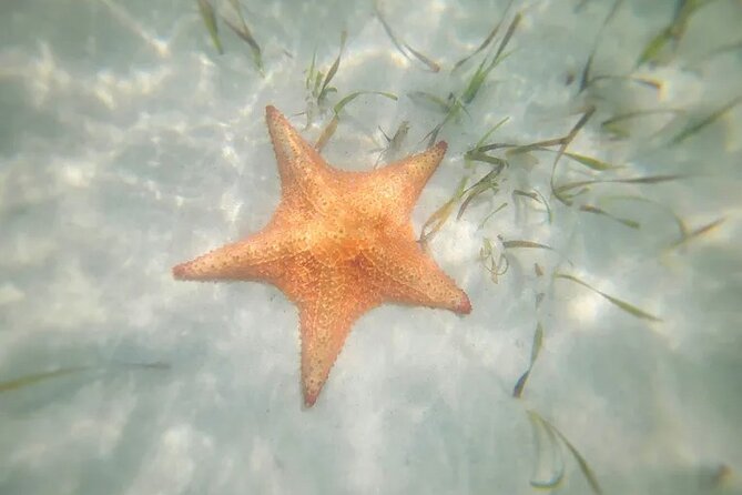 Cayman Island Eastern Districts Highlights - Bodden Town and the island’s early story