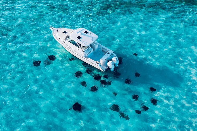 Cayman Private Luxury Charters - Stingray City, Snorkel, & More - Why Stingray City is the main event