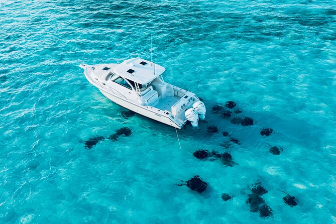 Cayman Private Luxury Charters - Stingray City, Snorkel, & More - Timing, cruise-ship calls, and weather