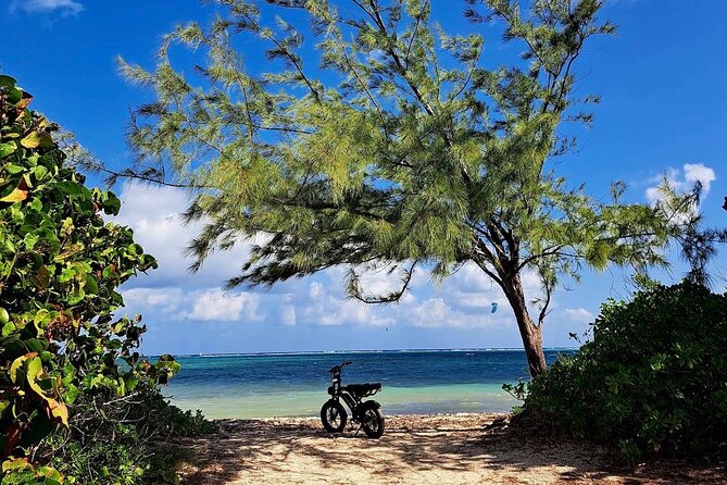 Coastal E-Bike Adventure: Full-Day Self-Guided Tour Grand Cayman - Food and the Kittiwake stop