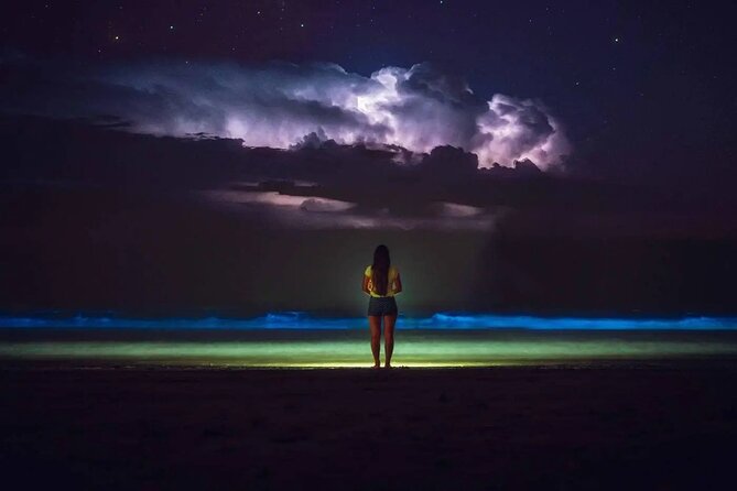 Grand Cayman Bioluminescence Adventure - Why Grand Cayman’s glowing bay is worth your evening