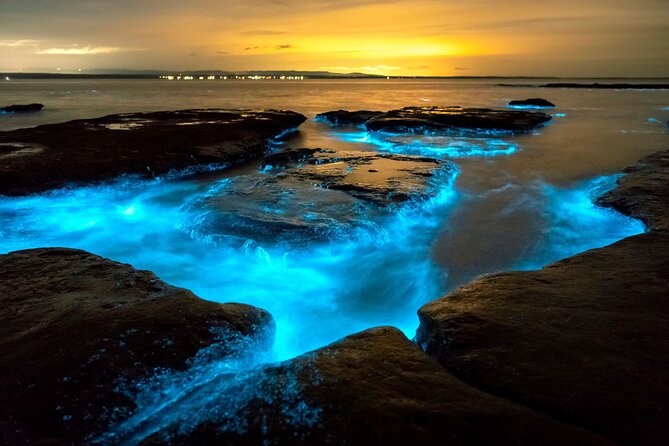 Grand Cayman Bioluminescence Adventure - Safety, swimming, and family considerations