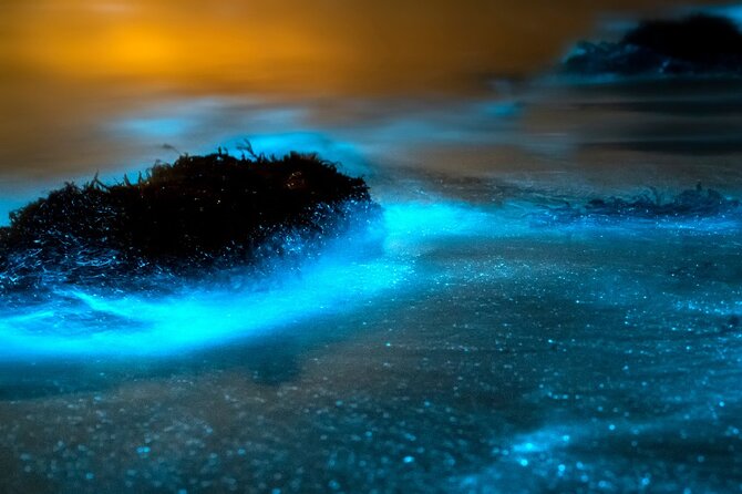Grand Cayman Bioluminescence Adventure - Pickup details can make or break the evening