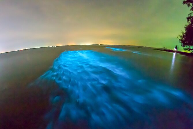 Grand Cayman Bioluminescence Adventure - The natural limits of a moonlit experience