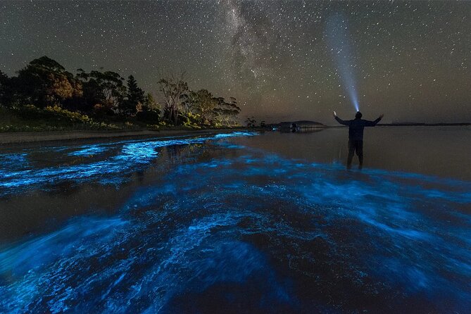 Grand Cayman Bioluminescence Adventure - Who will enjoy this tour most
