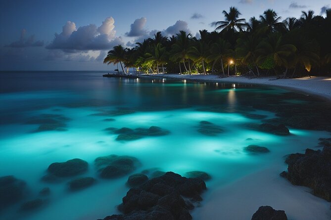 Grand Cayman Bioluminescence Experience - Key points to know before booking