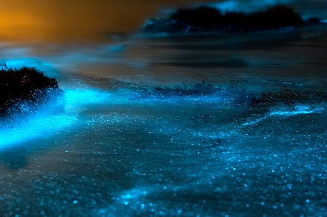 Grand Cayman Bioluminescence Experience - What is included, and what you still need to pack