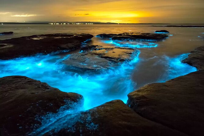 Grand Cayman Bioluminescent Bay Adventure - Key things to know before booking