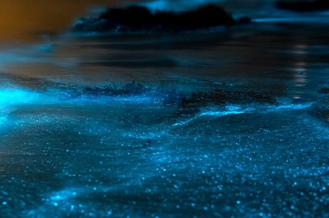 Grand Cayman Bioluminescent Bay Adventure - What the crew adds to the evening