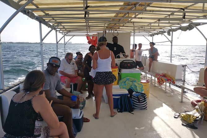 Grand Cayman - Bioluminescent Bay Tour - Quick points before you book