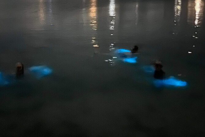 Grand Cayman - Bioluminescent Bay Tour - What to pack for a comfortable return