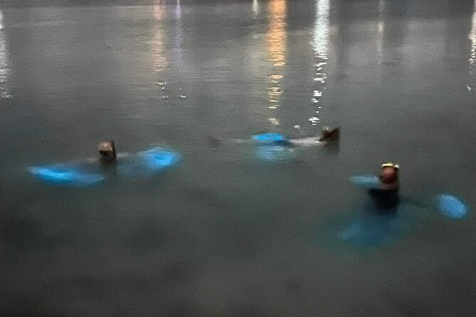 Grand Cayman - Bioluminescent Bay Tour - Who will enjoy this tour most