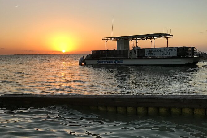 Grand Cayman - Bioluminescent Bay Tour - Booking, weather, and cancellation details