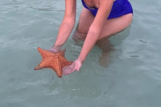 Grand Cayman Bioluminescent Bay Tour - Starfish Point sets a gentler pace