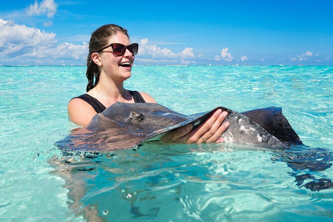 Grand Cayman Catamaran Tour to Stingray City and Rum Point - Why Stingray City makes this tour worth considering