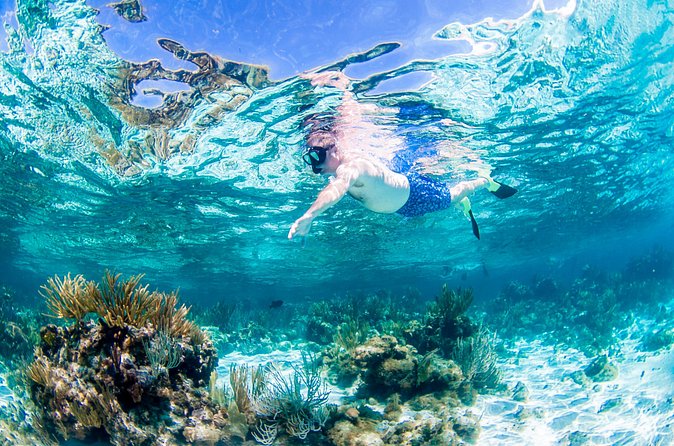 Grand Cayman Kittiwake and Reef Sail - The afternoon timing is useful, with one planning catch