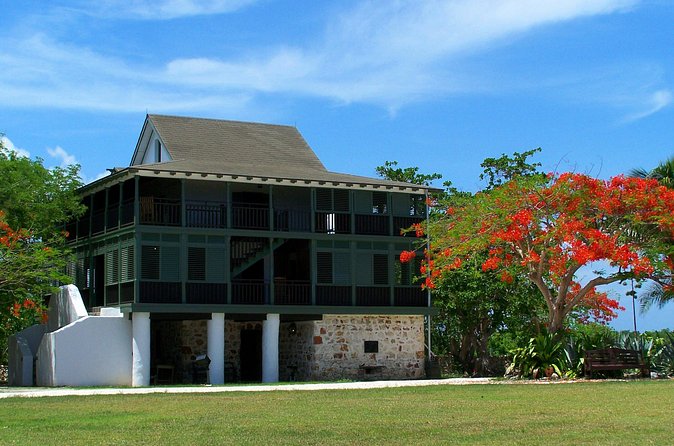 Grand Cayman Private Customized Bus Tour - Add local food and a rum stop