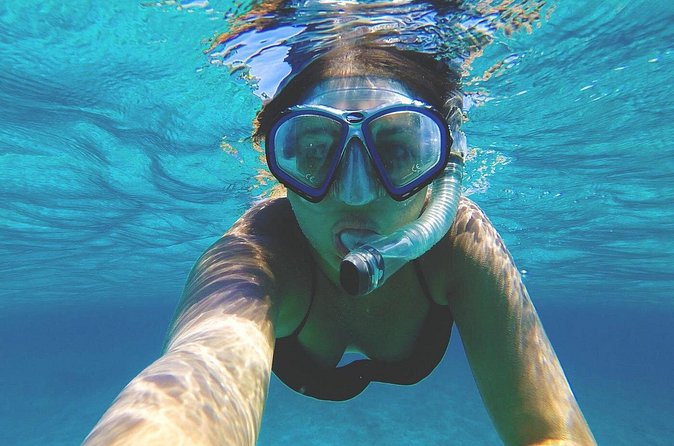 Grand Cayman Stingray City and Reef Snorkeling Combo Tour - Is $89 a fair price?