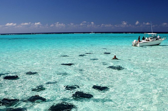 Grand Cayman Stingray City and Reef Snorkeling Combo Tour - What to bring and what to expect on the day